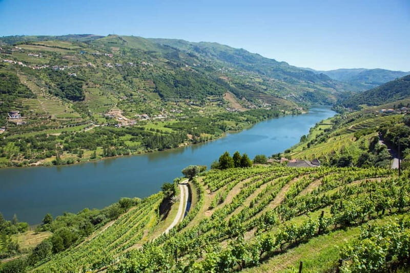 Small Group: Douro Valley Wine Tasting from Porto - An In-Depth Look at the Douro Valley Tour Experience