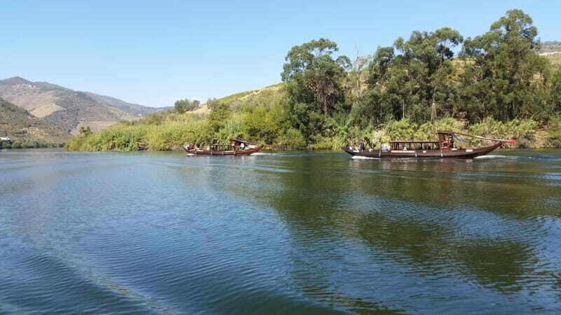 Small Group: Douro Valley Wine Tasting from Porto - Why This Tour Offers Great Value