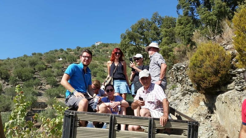 Small Group: Douro Valley Wine Tasting from Porto - Practical Tips for Booking and Enjoying the Tour