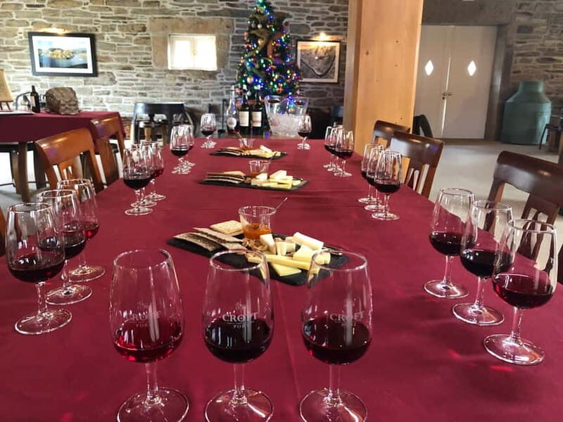 Small Group: Douro Valley Wine Tasting from Porto - Final Thoughts