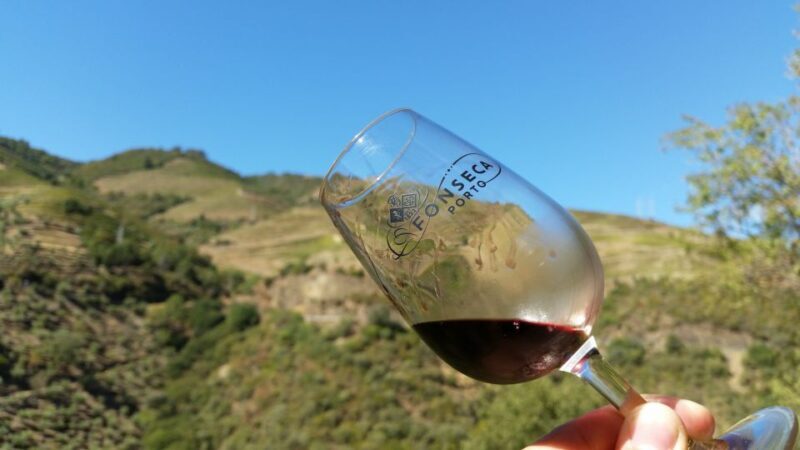 Small Group: Douro Valley Wine Tasting from Porto - Key Points