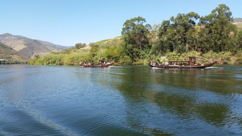 Small Group: Douro Valley Wine Tasting from Porto - Who Will Love This Tour?