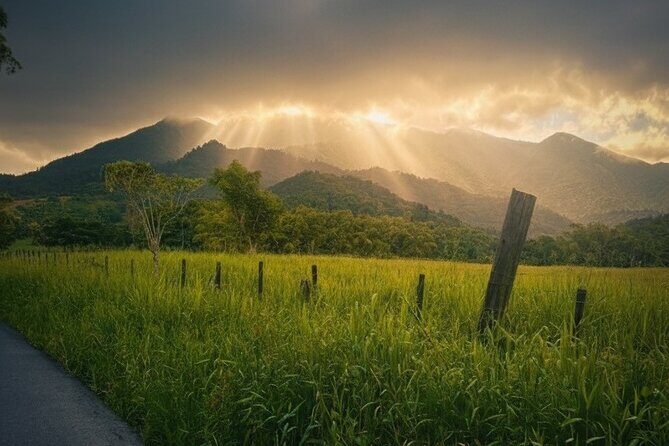 Small Group El Yunque Half Day Tour with Transport: Waterslide - Key Points