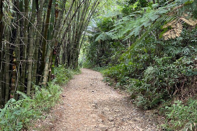 Small Group El Yunque Half Day Tour with Transport: Waterslide - Final Thoughts
