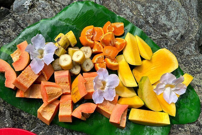 Small-Group El Yunque Rainforest & Transportation Luquillo Beach - Transportation and Group Size