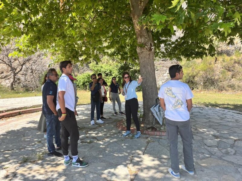 Small Group Ephesus Tour for Cruise Passengers - Key Points