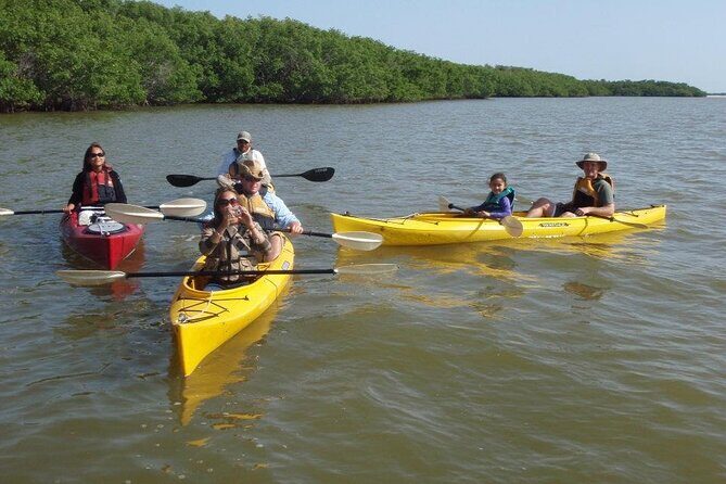 Small-Group Everglades Boating Kayaking and Walking Eco Tour - Who Is This Tour Best For?