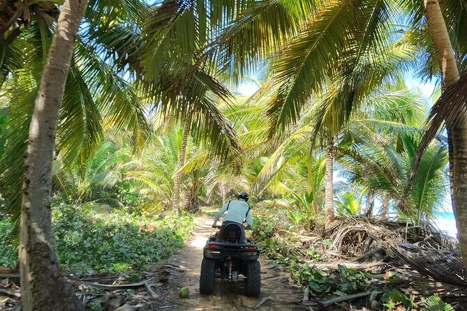 Small Group Exclusive 4x4 ATV Punta Cana: Jungle & Wild Beaches! - The Sum Up