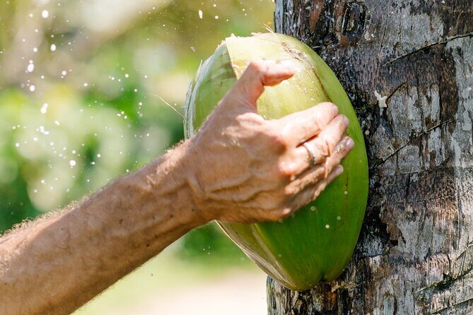 Small Group Exclusive 4x4 ATV Punta Cana: Jungle & Wild Beaches! - FAQ