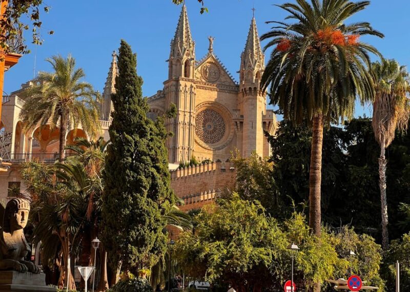 Small group- Exclusive Olive Oil & Wine Tour Mallorca - Who Should Book This Tour?