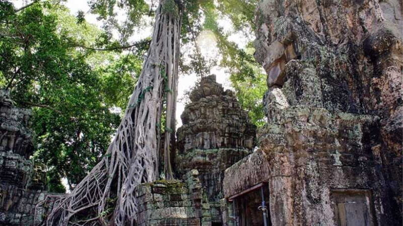 Small-Group Explore Angkor Wat Sunrise Tour with Guide - What’s Not Included