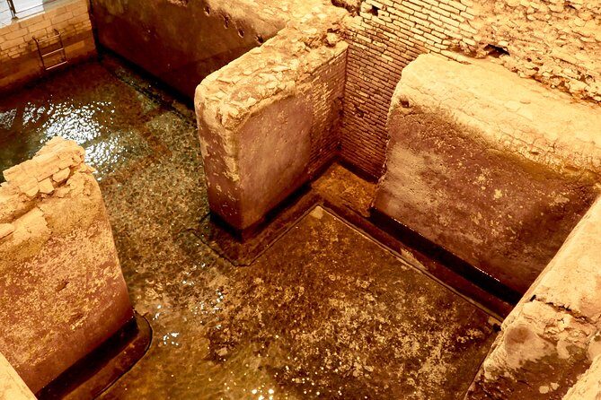 Small-Group Express Tour of Trevi Fountain with Undergrounds - The Sum Up: Who Should Book This Tour?