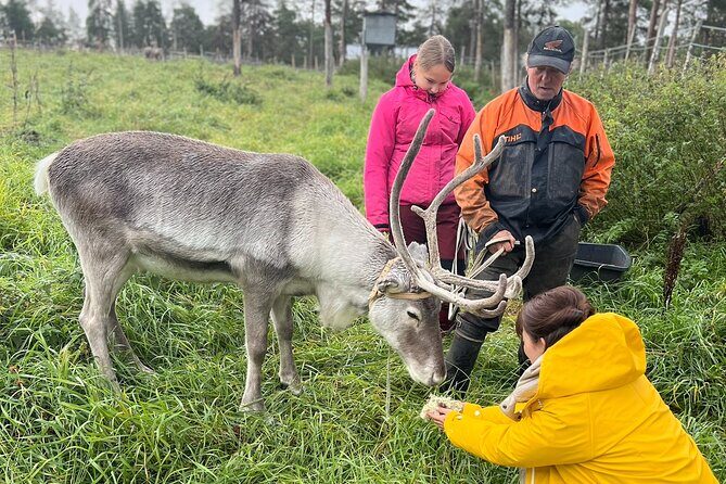 Small Group Fishing, Lunch& Reindeer Farm Visit in the Wilderness - Practical Tips