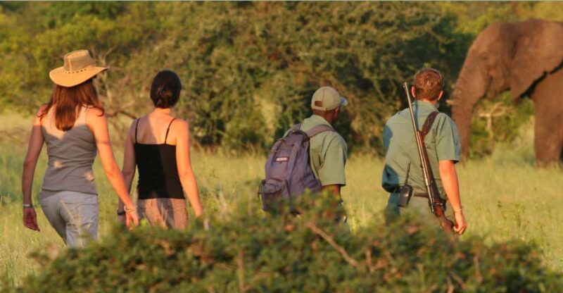 Small Group Garden Route- Departs CapeTown Wednesdays 5 Days - Itinerary Highlights