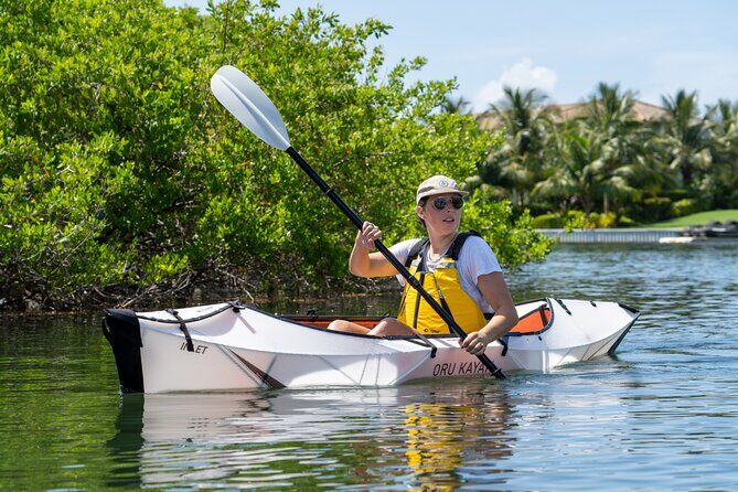 Small Group Glass Bottom Kayak Adventure- Cayman Islands - The Authenticity and Value of the Tour