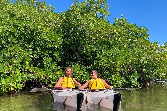 Small Group Glass Bottom Kayak Adventure- Cayman Islands - Who Will Love This Tour?