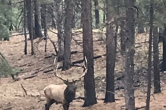 Small Group Grand Canyon Day Trip from Sedona - The Sum Up: Is This Tour Worth It?