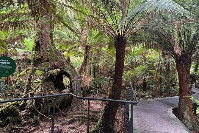Small group Great Ocean Road Reverse & Wildlife spotting - FAQ