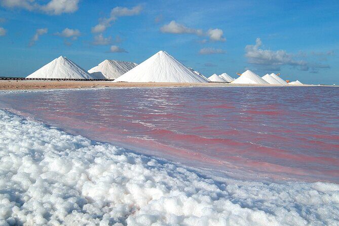 Small-Group Guided North & South Tour of Bonaire with Pick Up - Key Points