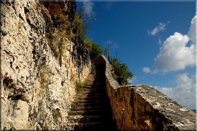 Small-Group Guided North & South Tour of Bonaire with Pick Up - Final Thoughts