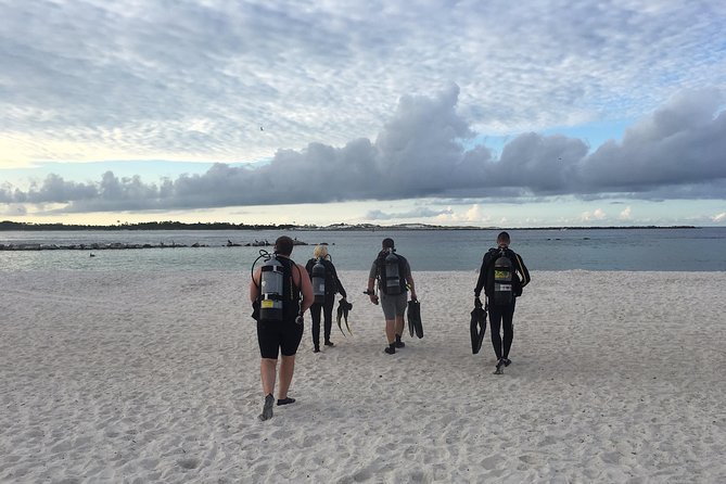 Small Group Guided Shore Dives in St. Andrews State Park, Florida - Good To Know