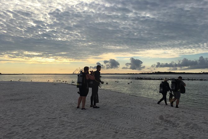 Small Group Guided Shore Dives in St. Andrews State Park, Florida - Meeting Location and Details