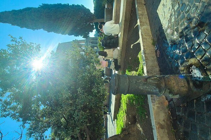 Small Group Guided Tour Colosseum Roman Forum & Palatine Hill - Practical Details and Tips