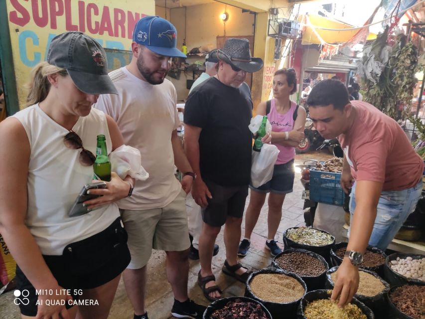 Small Group: Half Day Dominican Republic Cultural Tour - Transportation and Logistical Information