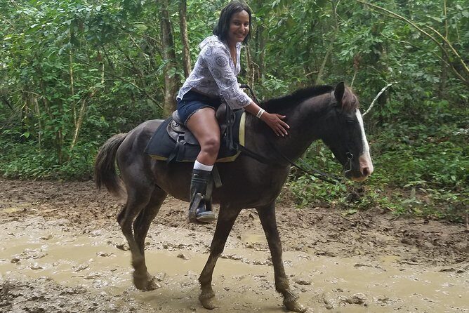 Small-Group Half-Day Horseback Riding Tour from Punta Cana - An In-Depth Look at the Experience