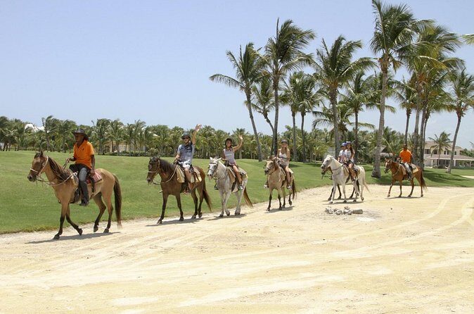 Small-Group Half-Day Horseback Riding Tour from Punta Cana - Who Will Love This Tour?