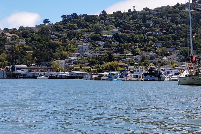 Small-Group Half Day Muir Woods and Sausalito Morning Tour - Traveler Feedback and Ratings