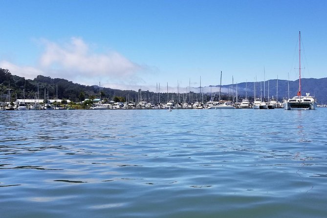 Small-Group Half Day Muir Woods and Sausalito Morning Tour - Exploring Sausalito