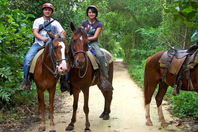 Small Group: Half Day Punta Cana Cultural Tour - A Deep Dive into the Tour Experience