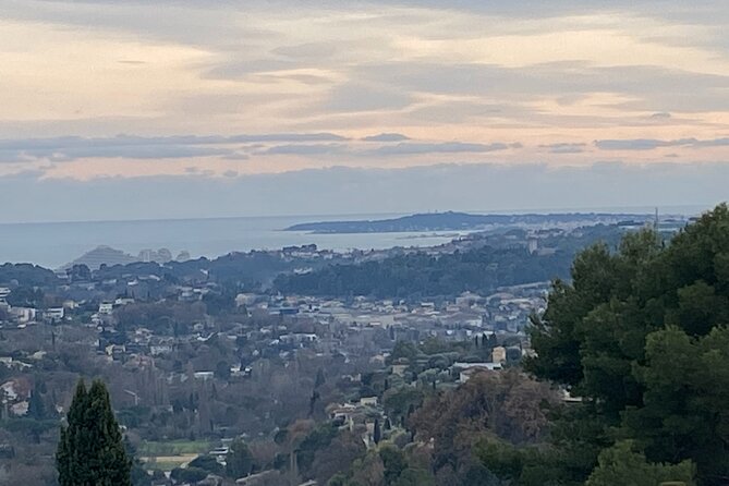 Small-Group Half-Day Tour to St-Paul-De-Vence, Antibes and Cannes From Nice - Positive Traveler Experiences