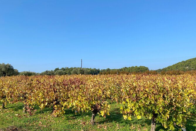 Small group hiking between the beach and Kritinia Castle - Key Points