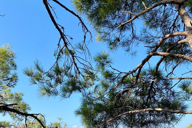 Small group hiking between the beach and Kritinia Castle - The Value of This Experience