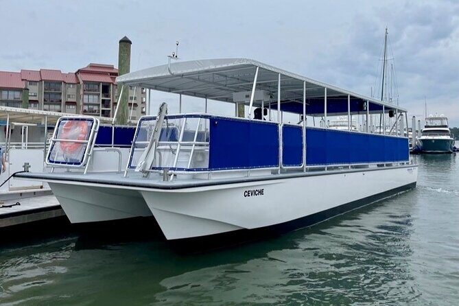 Small Group Hilton Head Morning Dolphin and Donut Cruise - Who Will Love This Tour?