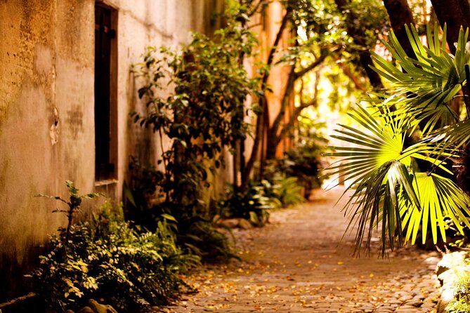 Small Group Historic Charleston Walking Tour - Customer Feedback and Reviews
