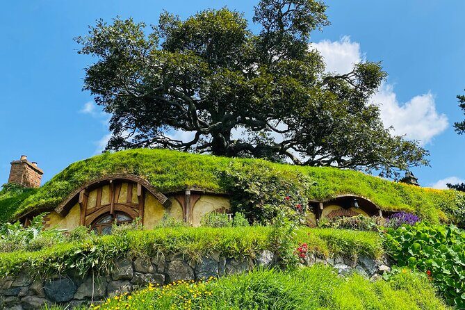 Small Group Hobbiton Movie Set from Tauranga - Key Points