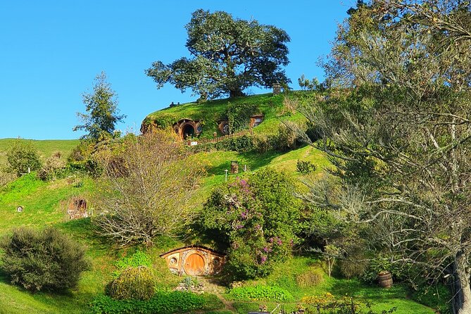 Small-Group Hobbiton Tour From Auckland With Party Marquee Lunch - Accessibility Information