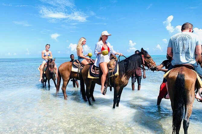 Small Group Horseback Riding Adventure in Caicos Islands - The Ride: What to Expect