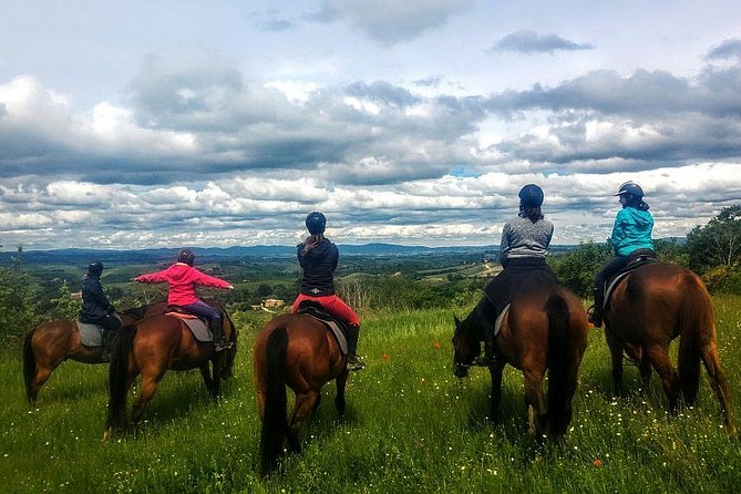 Small-Group Horseback Tour of Tuscany  - Siena - Customer Feedback and Recommendations