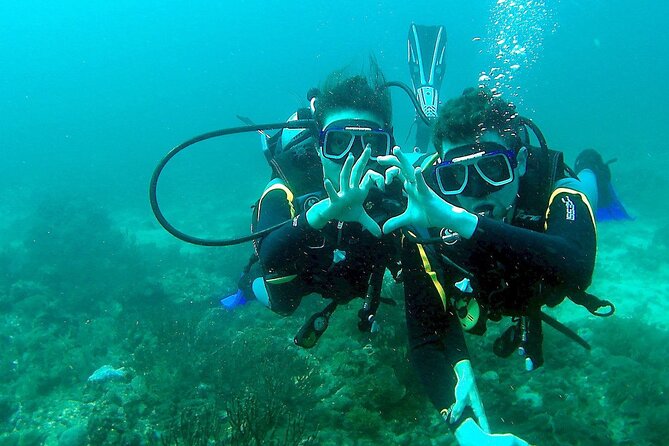 Small-Group Introductory Scuba Diving in Pula - Meeting Location and Transportation