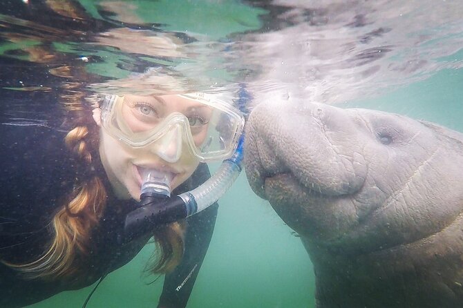 Small Group Manatee Snorkel Tour With In-Water Guide and Photographer - Inclusions and Amenities