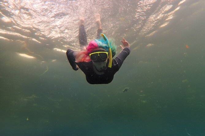 Small Group Manatee Swim Tour With In Water Guide - Tour Details