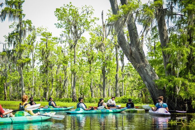 Small-Group Manchac Swamp Kayak Tour With Local Guide - Frequently Asked Questions