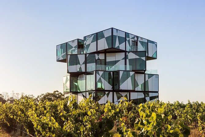Small Group McLaren Vale and The Cube Experience - What We Think About the Tour’s Value