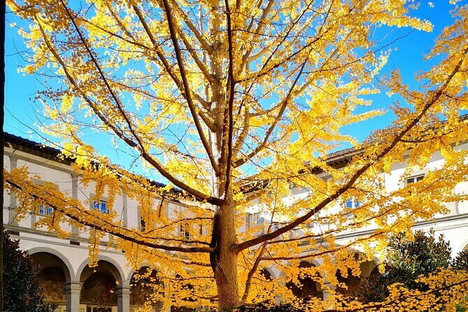 Small Group Medici and Michelangelo Tour in Florence - Exploring Florence Through a Different Lens: The Small Group Medici and Michelangelo Tour