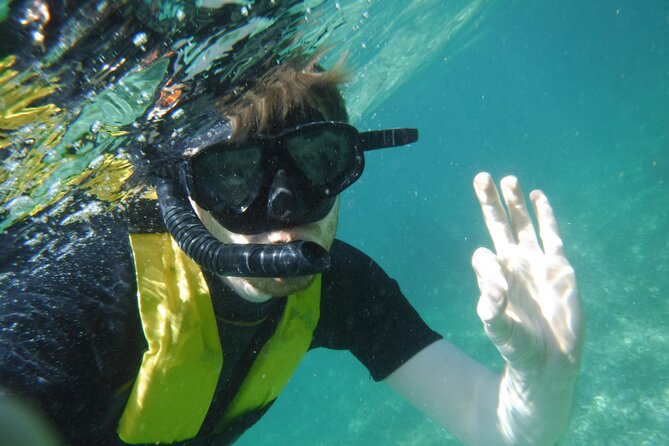 Small-Group Mesoamerican Barrier Reef Snorkeling in Puerto Morelos - Customer Feedback