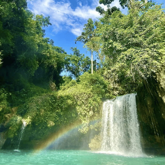 Small Group Moalboal and Badians Ultimate Adventure Tour - An In-Depth Look at the Tour Experience